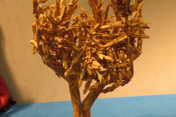 image00004525CF4A3-960D-76CF-D4CE-3B22DA07DEF0.png