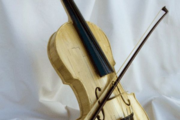 violino1B95A3E3F-4E85-5136-E282-4CC25E49E88C.jpg