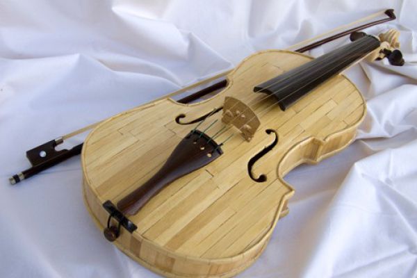 violino252C1E3AA-57E2-7ECD-9B88-0FEB438B79D6.jpg